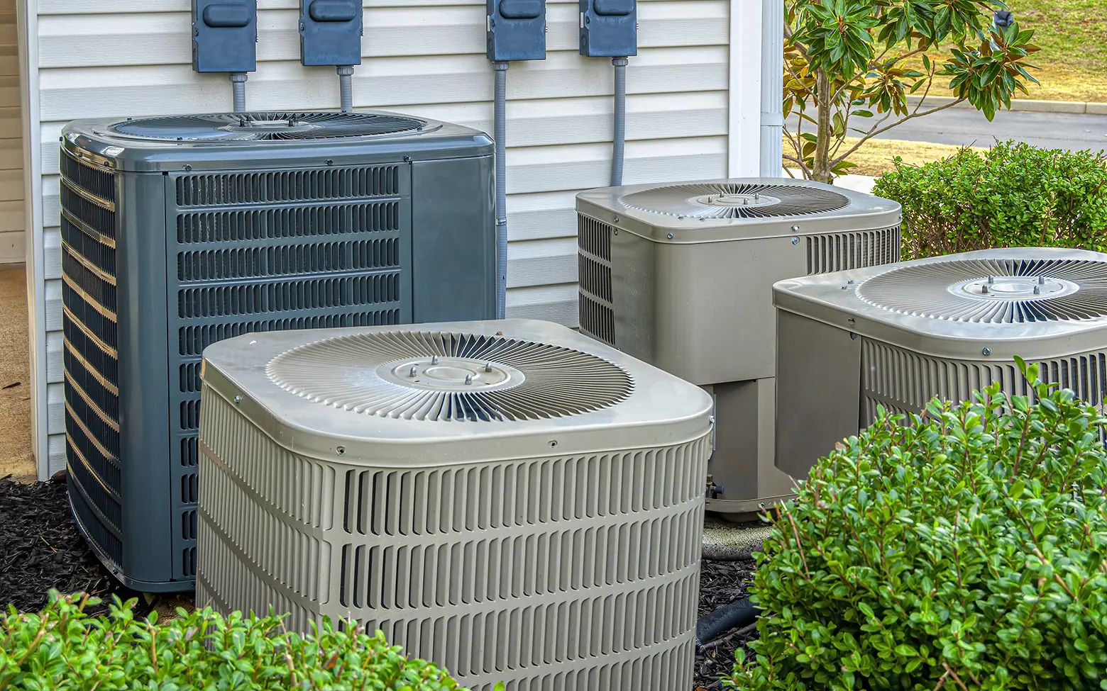 HVAC Compatible Plants